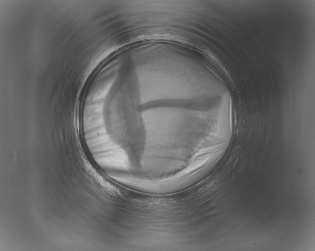 X0000076331084200610201658