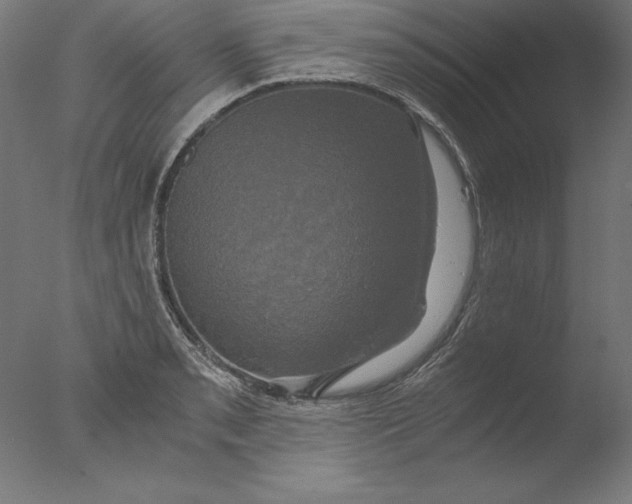 X0000076331085200610201658