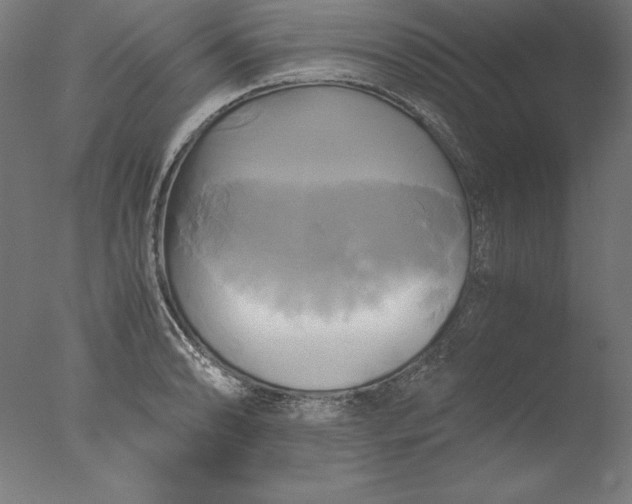 X0000076331086200610201658