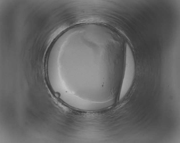 X0000076331087200610201658