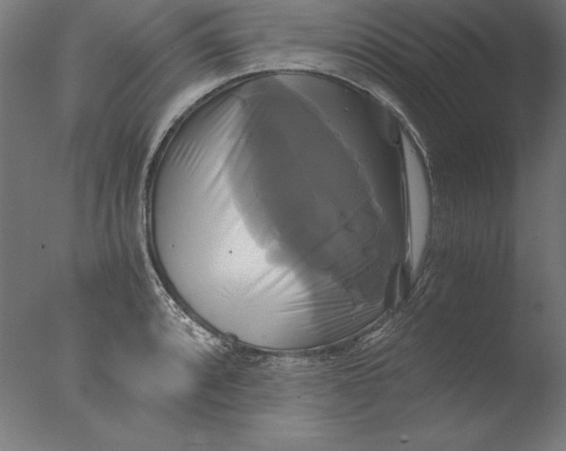 X0000076331088200610201658