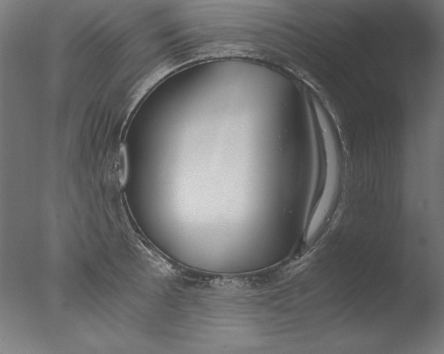 X0000076331089200610201658