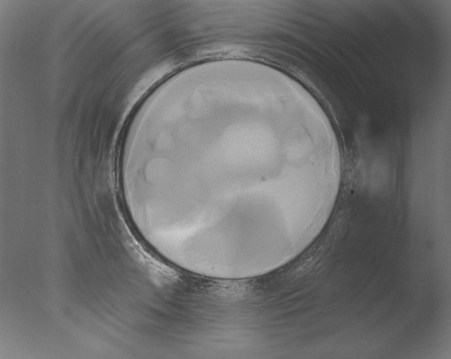 X0000076331090200610201658