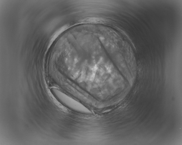 X0000076331091200610201658