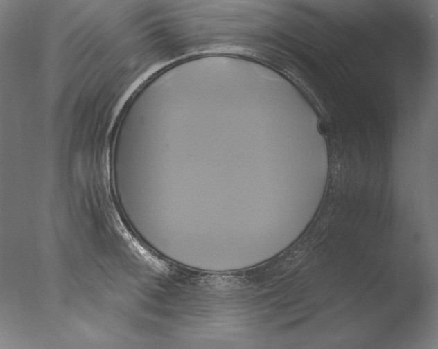 X0000076331092200610201658