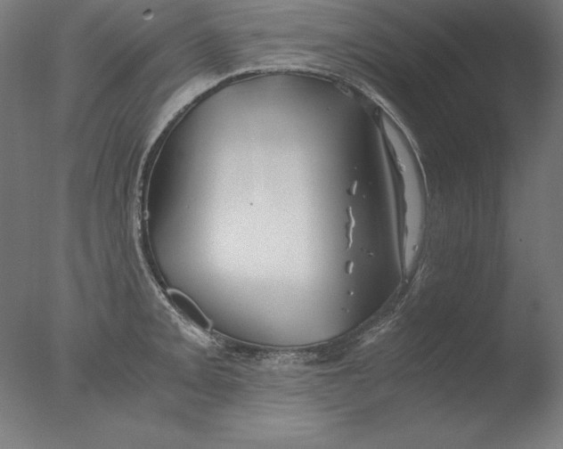 X0000076331093200610201658