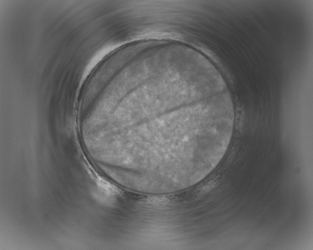 X0000076331094200610201658