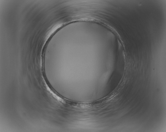 X0000076331095200610201658