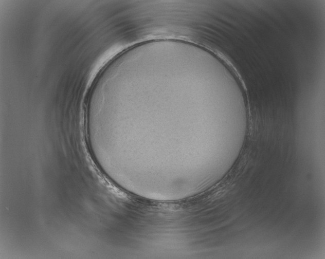 X0000076331096200610201658