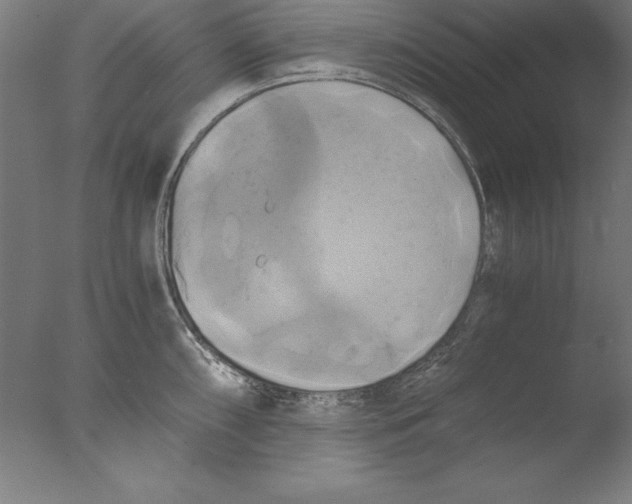 X0000076331098200610201658