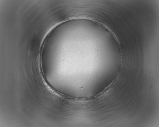 X0000076331100200610201658