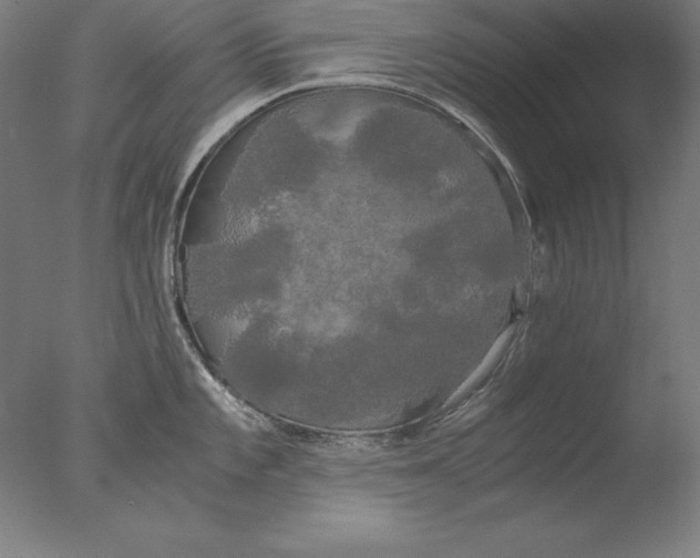 X0000076331101200610201658