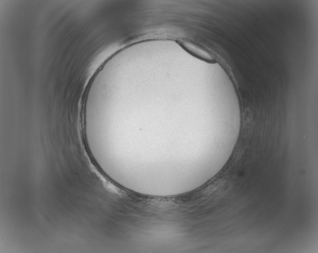 X0000076331103200610201658