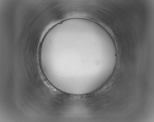 X0000076331104200610201658