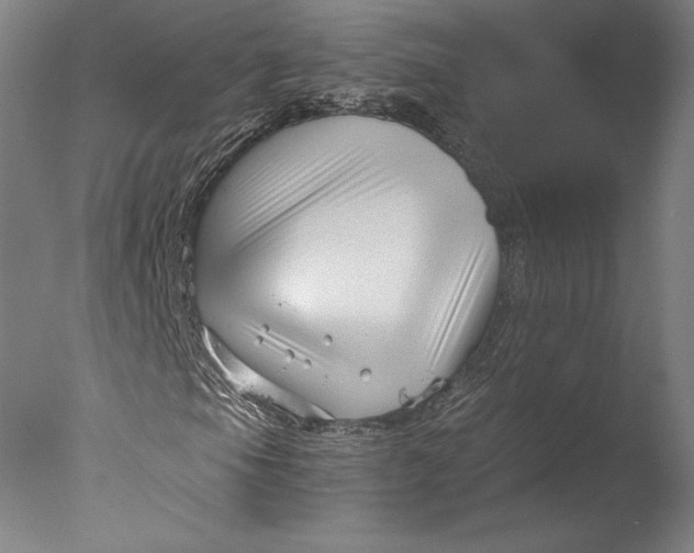 X0000076331105200610201657