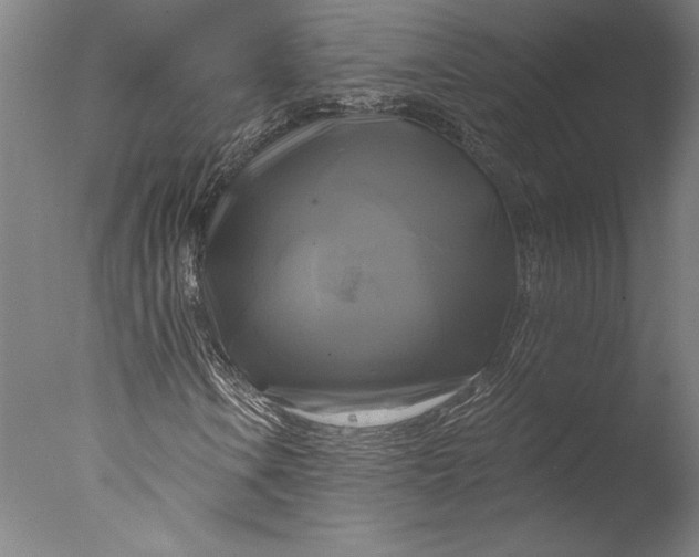 X0000076331106200610201657