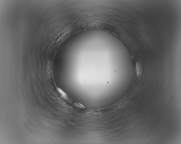 X0000076331107200610201657