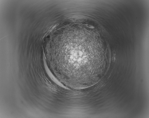 X0000076331108200610201657