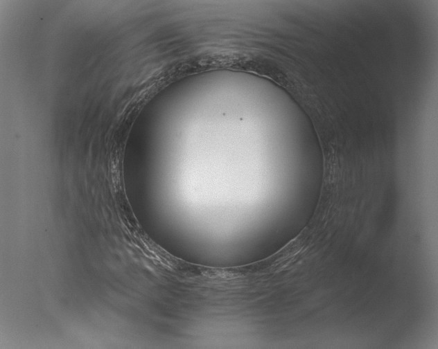 X0000076331109200610201657