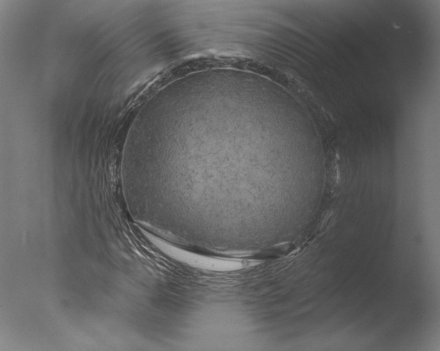 X0000076331110200610201657