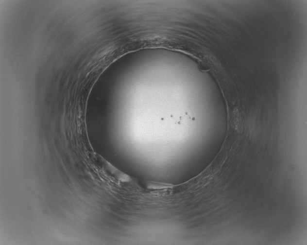 X0000076331111200610201657