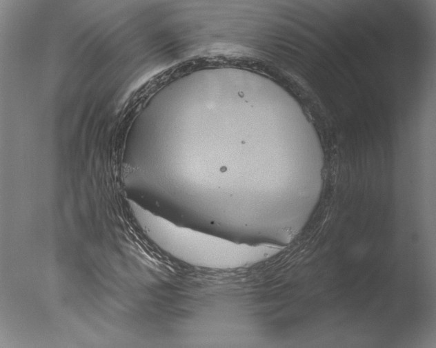 X0000076331112200610201657