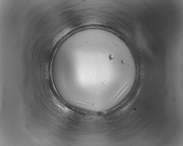 X0000076331113200610201657