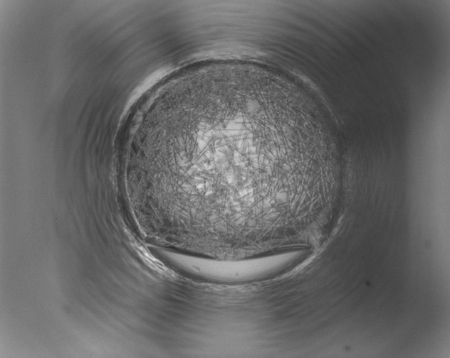 X0000076331114200610201657