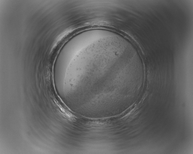 X0000076331115200610201657