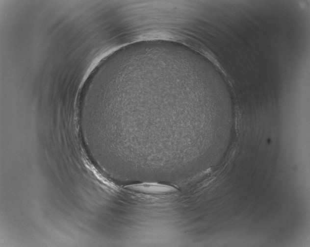 X0000076331116200610201657