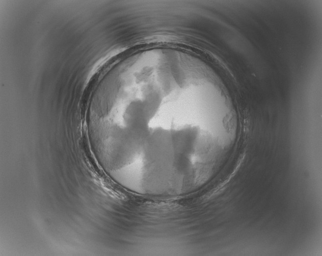 X0000076331117200610201657