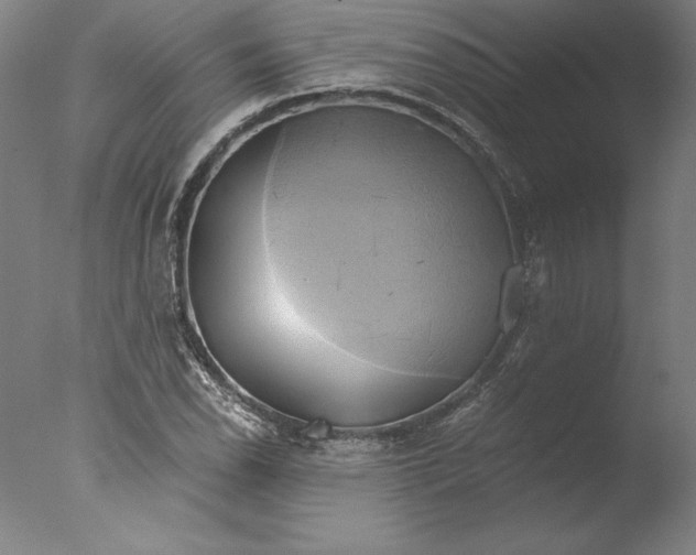 X0000076331118200610201657