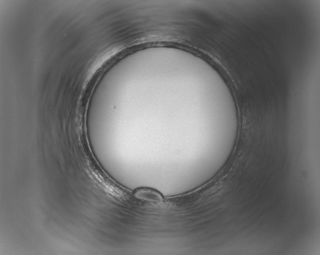 X0000076331119200610201657