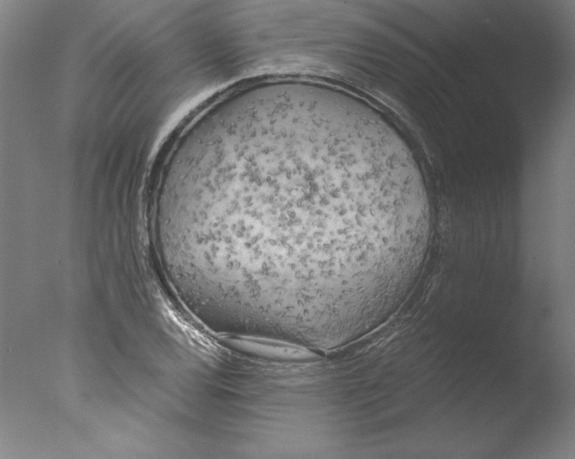 X0000076331120200610201657