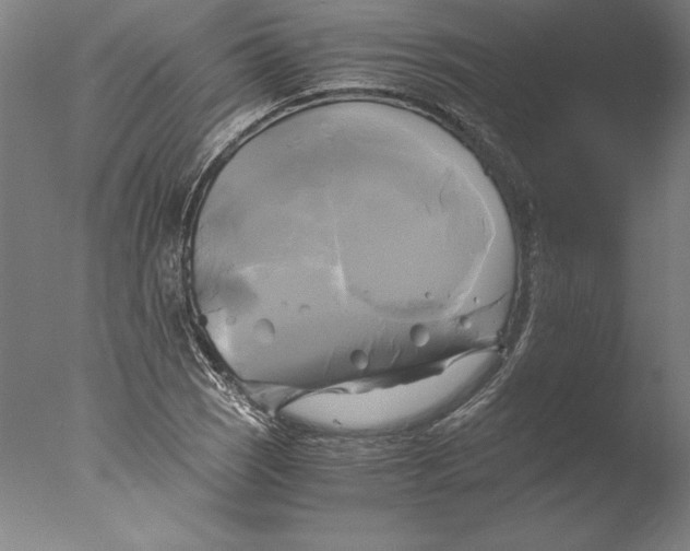 X0000076331121200610201657