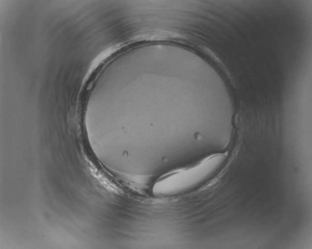 X0000076331122200610201657