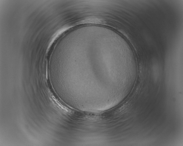 X0000076331123200610201657