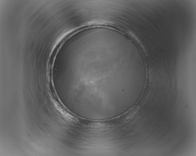 X0000076331124200610201657