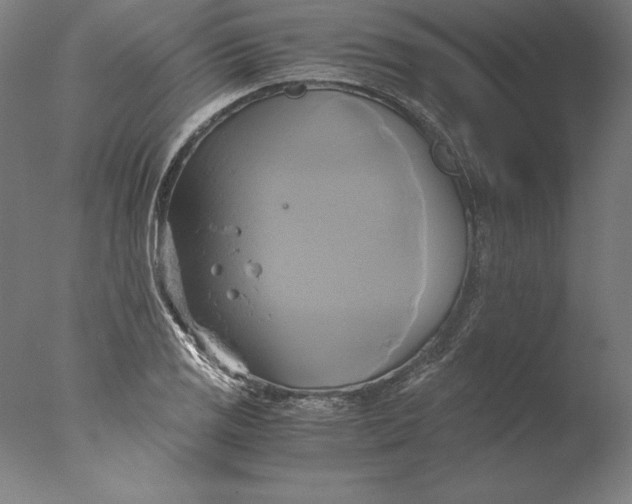 X0000076331125200610201658