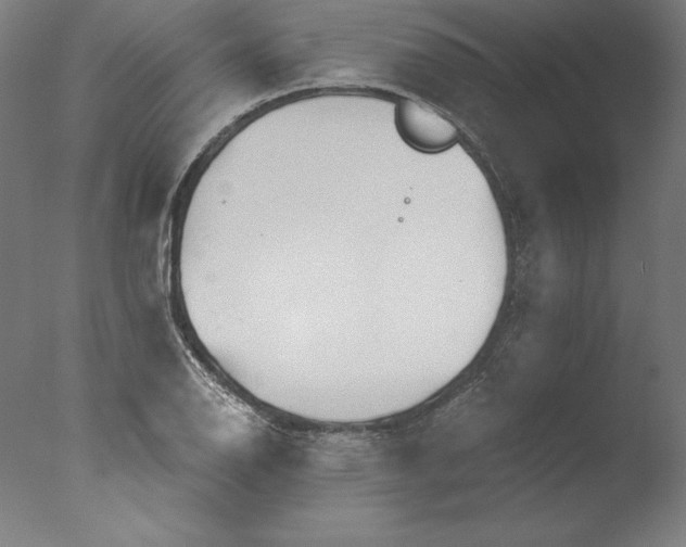 X0000076331126200610201658