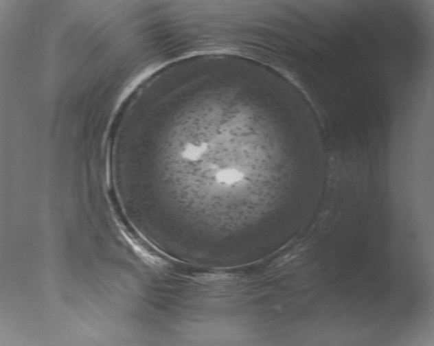 X0000076331127200610201658