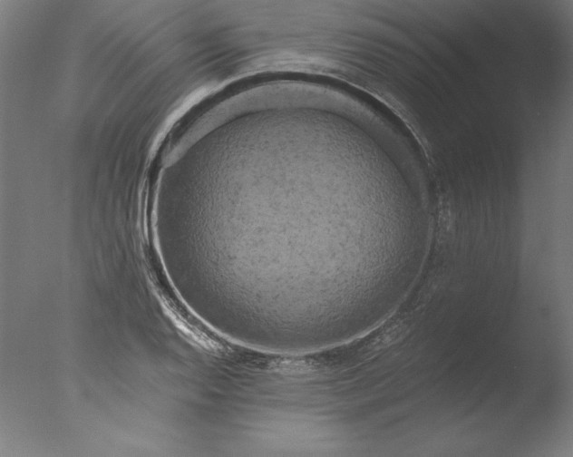 X0000076331128200610201658