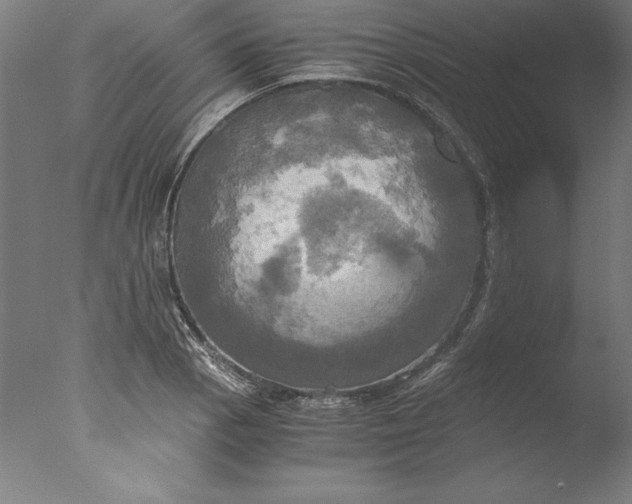 X0000076331129200610201658