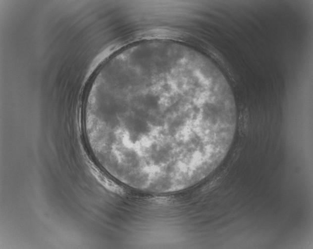 X0000076331130200610201658