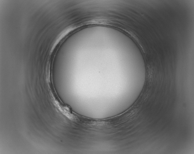 X0000076331131200610201658