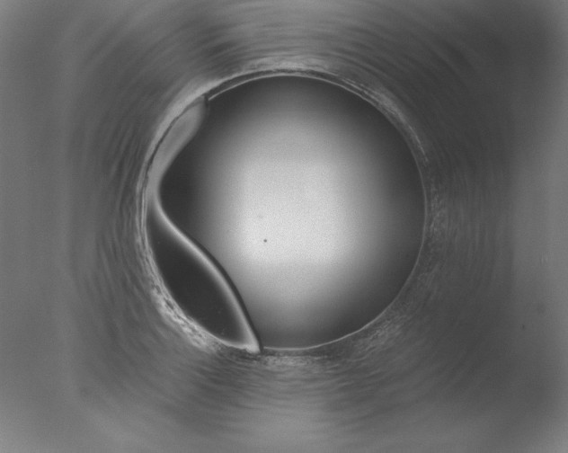 X0000076331132200610201658