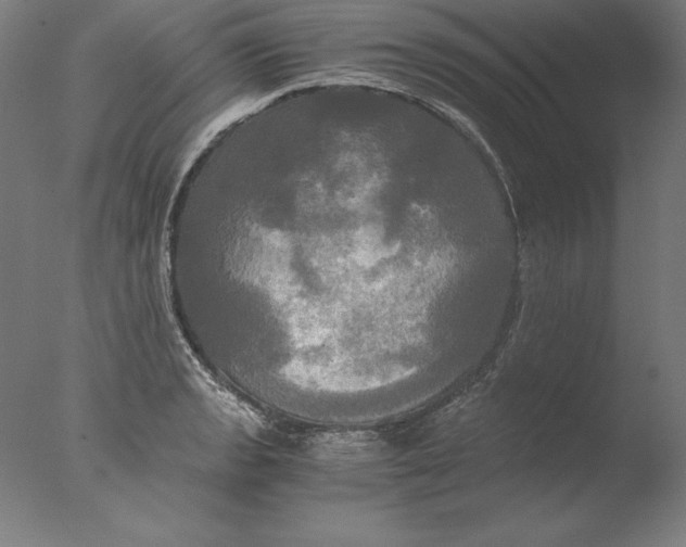 X0000076331133200610201658