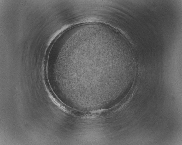 X0000076331134200610201658