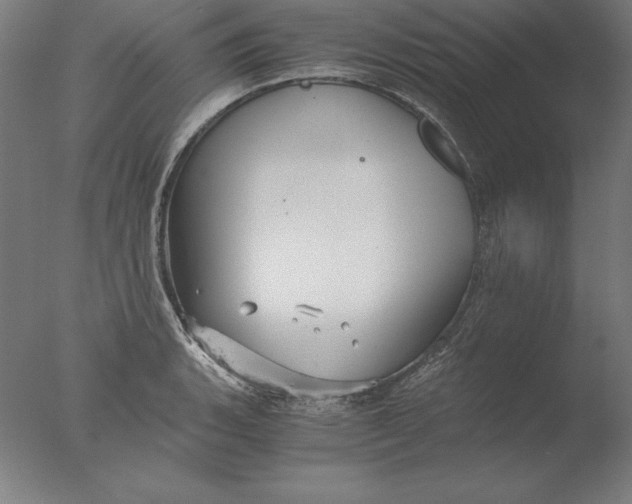 X0000076331135200610201658