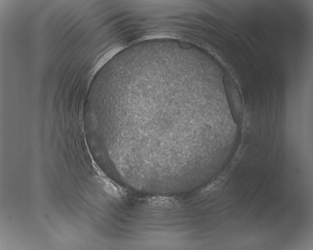 X0000076331137200610201658